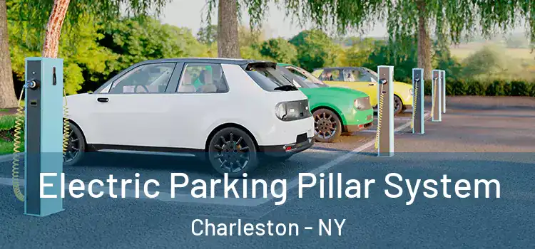  Electric Parking Pillar System Charleston - NY
