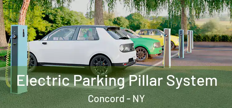  Electric Parking Pillar System Concord - NY