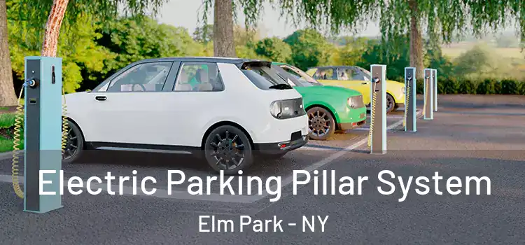  Electric Parking Pillar System Elm Park - NY