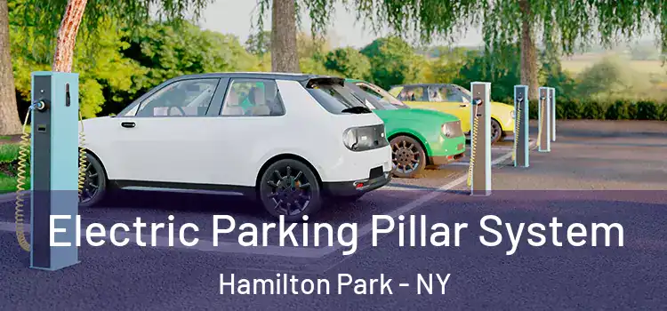  Electric Parking Pillar System Hamilton Park - NY