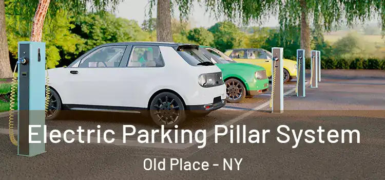Electric Parking Pillar System Old Place - NY