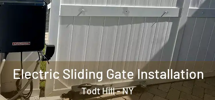  Electric Sliding Gate Installation Todt Hill - NY
