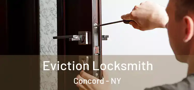  Eviction Locksmith Concord - NY