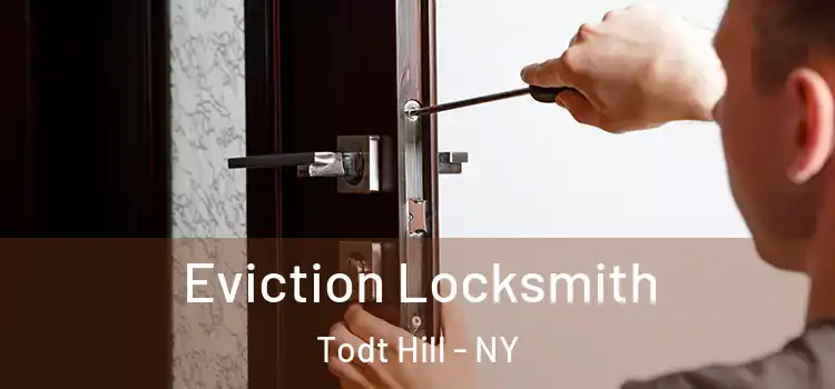  Eviction Locksmith Todt Hill - NY