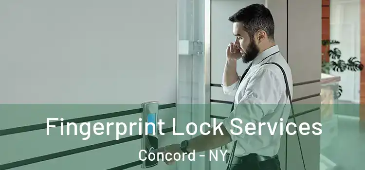  Fingerprint Lock Services Concord - NY