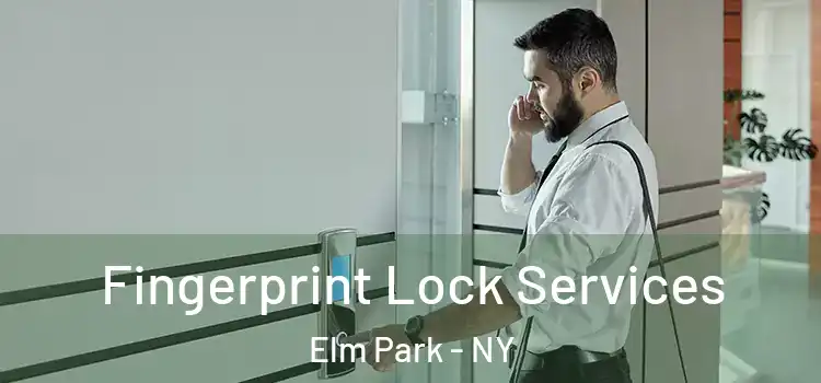  Fingerprint Lock Services Elm Park - NY
