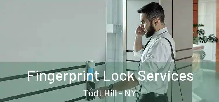Fingerprint Lock Services Todt Hill - NY