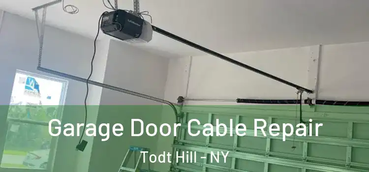  Garage Door Cable Repair Todt Hill - NY