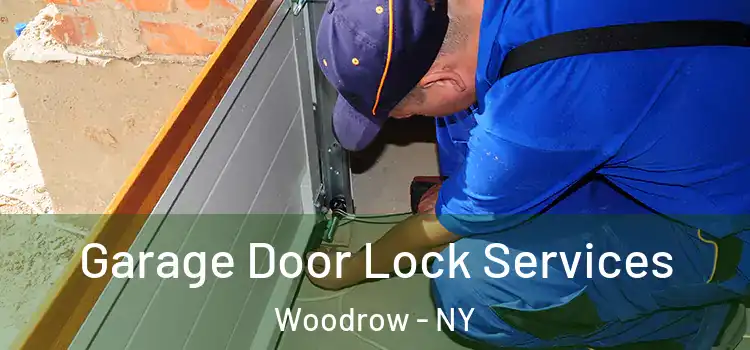  Garage Door Lock Services Woodrow - NY