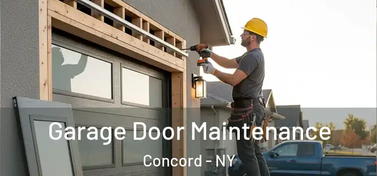  Garage Door Maintenance Concord - NY