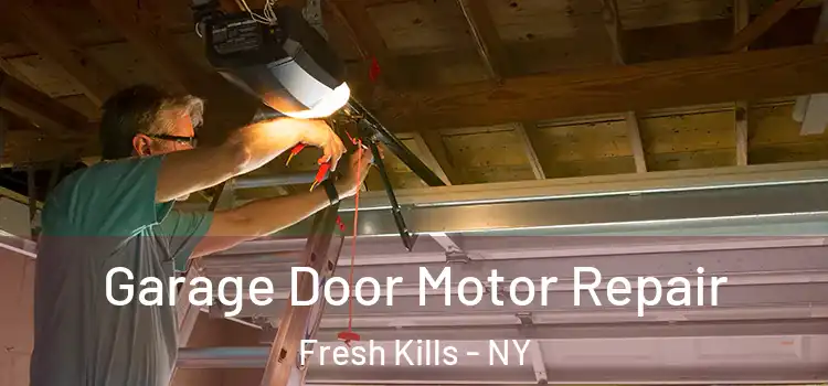  Garage Door Motor Repair Fresh Kills - NY