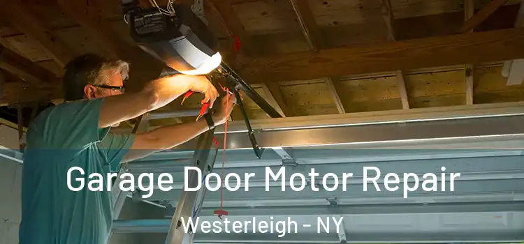  Garage Door Motor Repair Westerleigh - NY