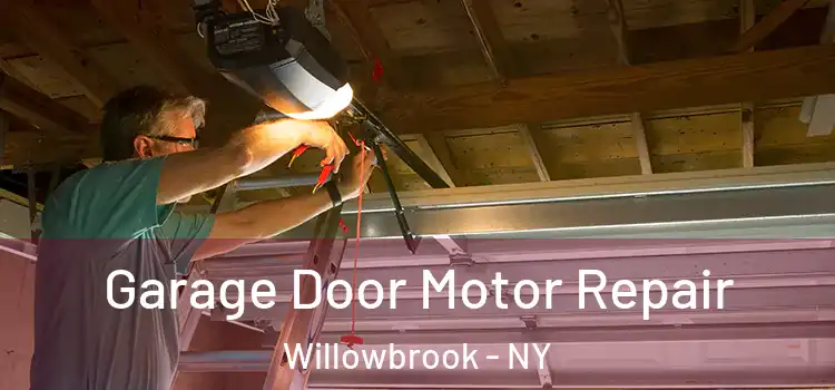  Garage Door Motor Repair Willowbrook - NY