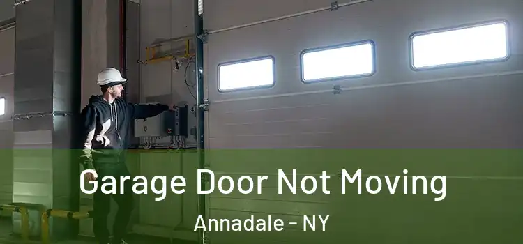  Garage Door Not Moving Annadale - NY