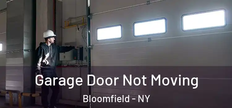  Garage Door Not Moving Bloomfield - NY