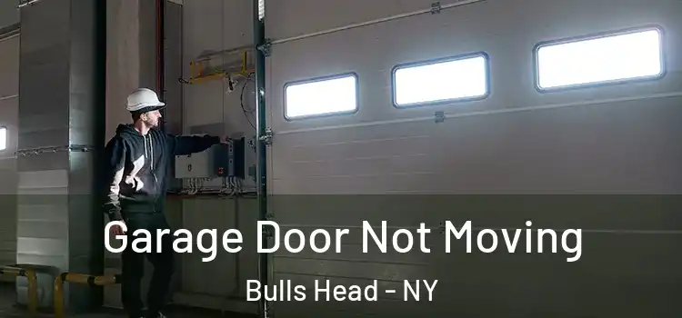  Garage Door Not Moving Bulls Head - NY