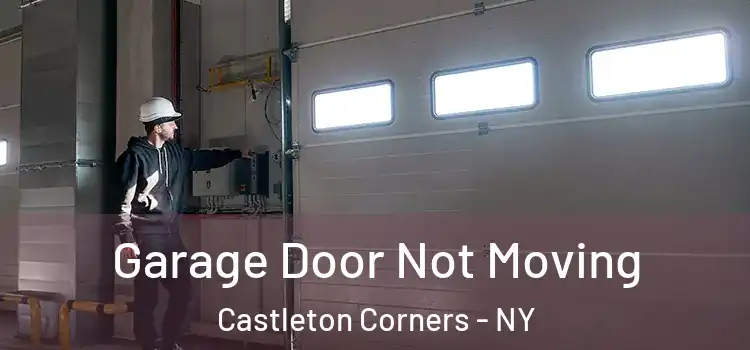  Garage Door Not Moving Castleton Corners - NY