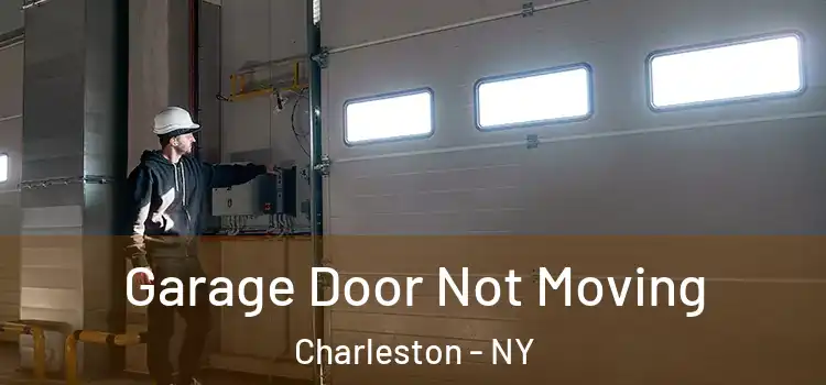  Garage Door Not Moving Charleston - NY