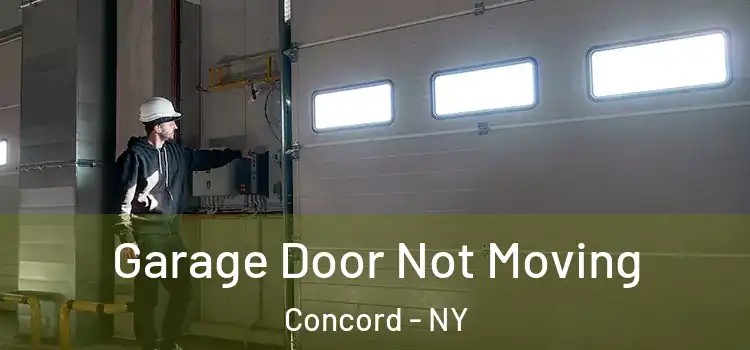  Garage Door Not Moving Concord - NY