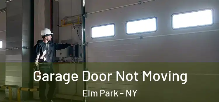  Garage Door Not Moving Elm Park - NY
