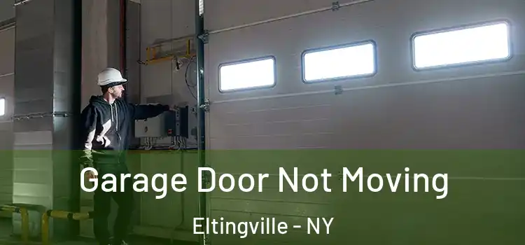  Garage Door Not Moving Eltingville - NY