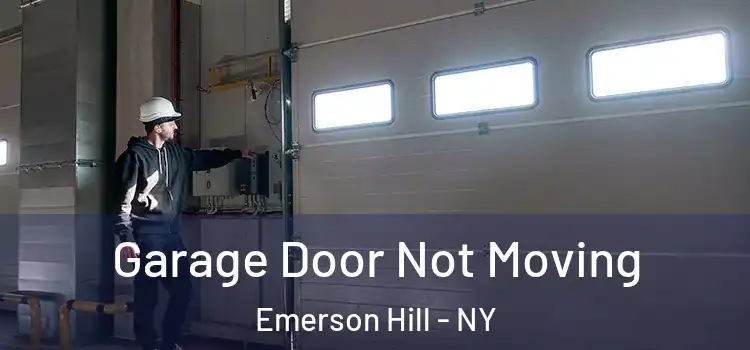  Garage Door Not Moving Emerson Hill - NY