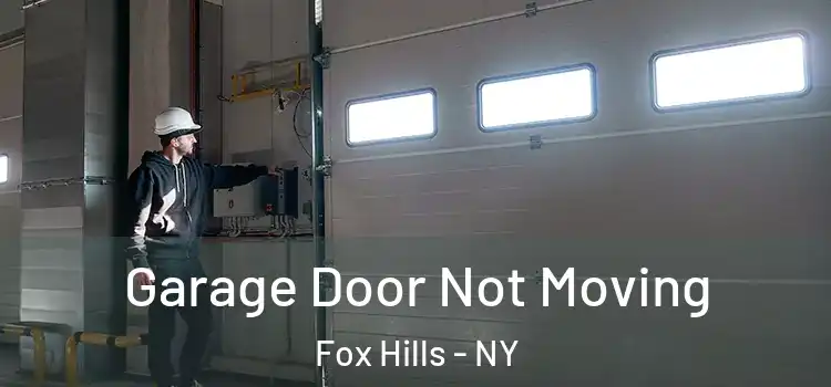  Garage Door Not Moving Fox Hills - NY