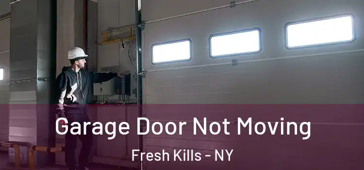  Garage Door Not Moving Fresh Kills - NY