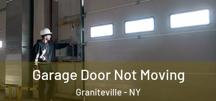  Garage Door Not Moving Graniteville - NY