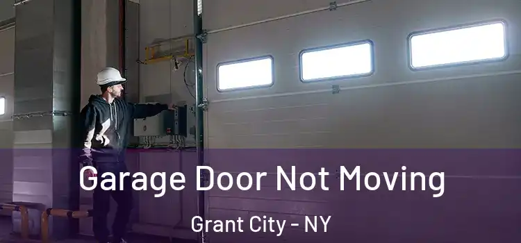  Garage Door Not Moving Grant City - NY