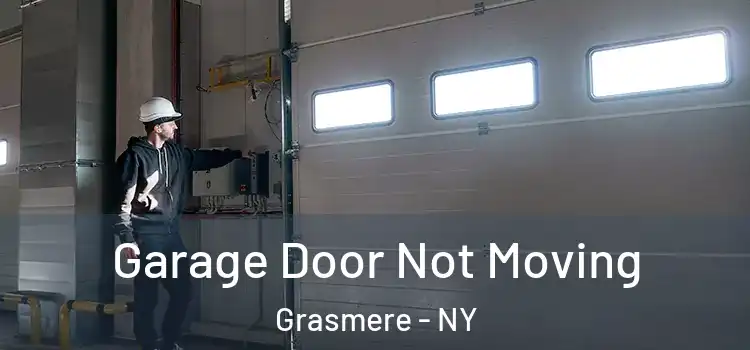  Garage Door Not Moving Grasmere - NY