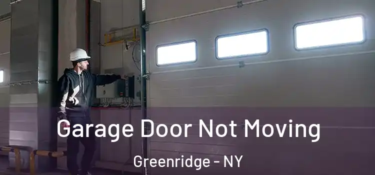  Garage Door Not Moving Greenridge - NY