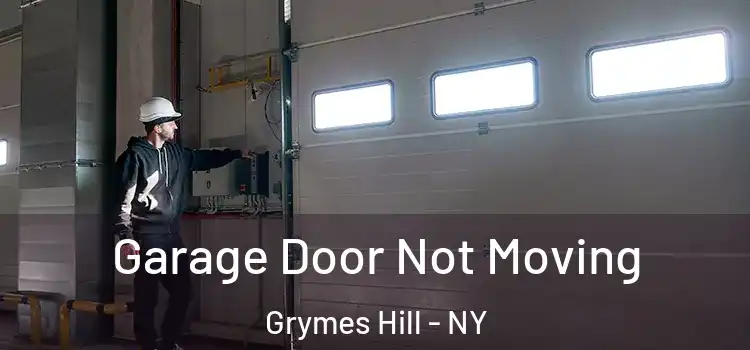  Garage Door Not Moving Grymes Hill - NY