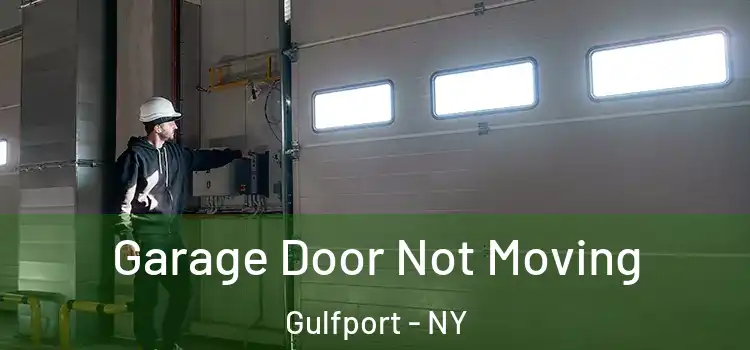  Garage Door Not Moving Gulfport - NY