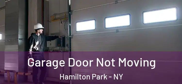  Garage Door Not Moving Hamilton Park - NY