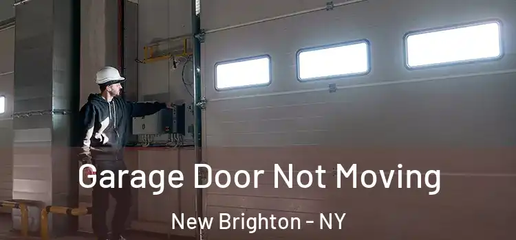  Garage Door Not Moving New Brighton - NY