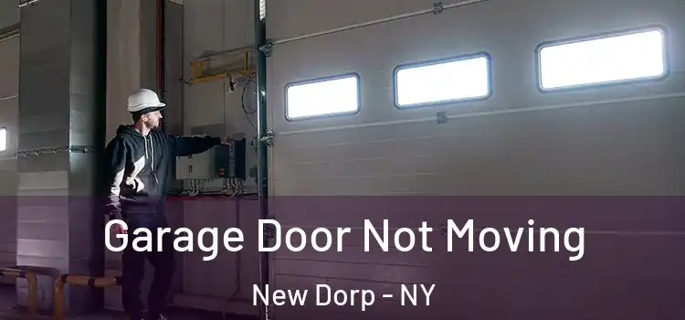  Garage Door Not Moving New Dorp - NY