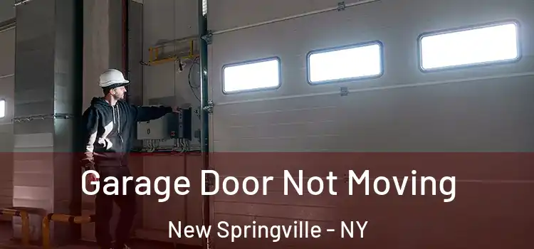  Garage Door Not Moving New Springville - NY