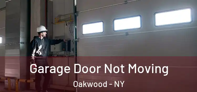  Garage Door Not Moving Oakwood - NY
