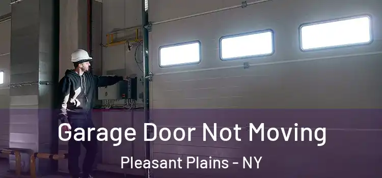 Garage Door Not Moving Pleasant Plains - NY