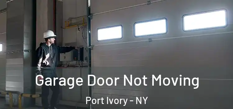  Garage Door Not Moving Port Ivory - NY