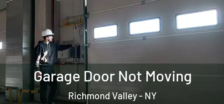  Garage Door Not Moving Richmond Valley - NY