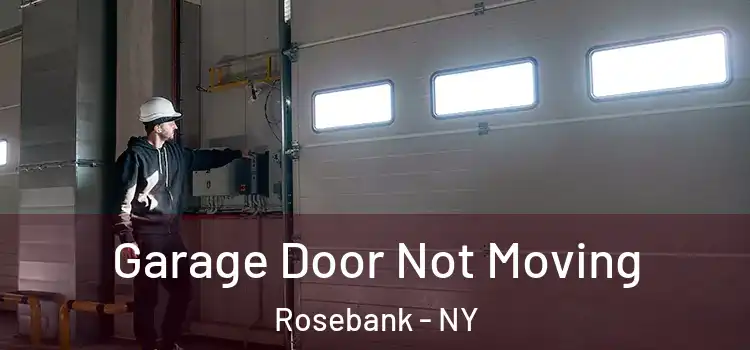  Garage Door Not Moving Rosebank - NY