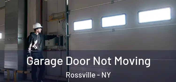  Garage Door Not Moving Rossville - NY
