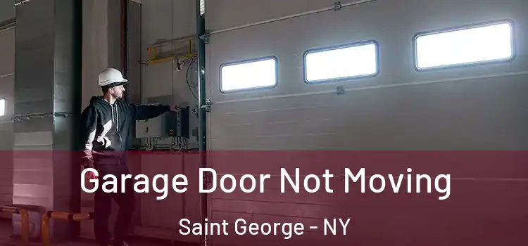  Garage Door Not Moving Saint George - NY