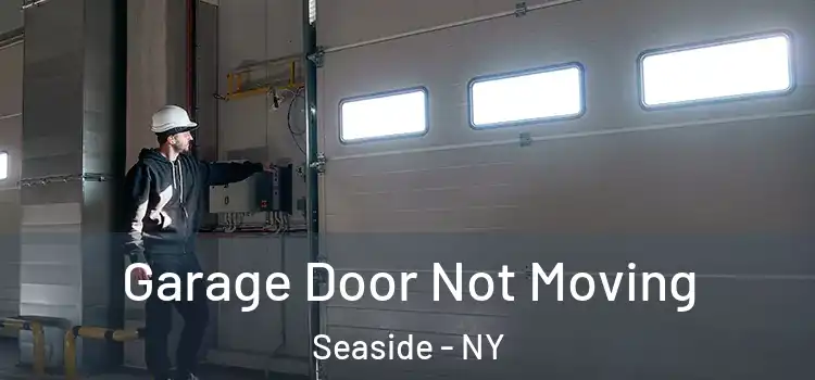  Garage Door Not Moving Seaside - NY