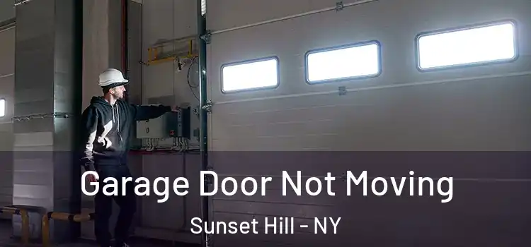  Garage Door Not Moving Sunset Hill - NY