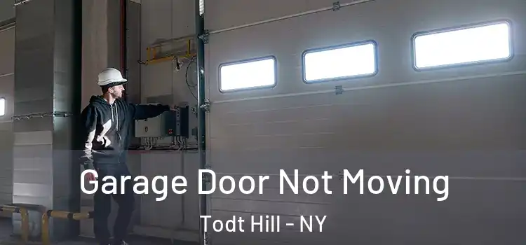  Garage Door Not Moving Todt Hill - NY