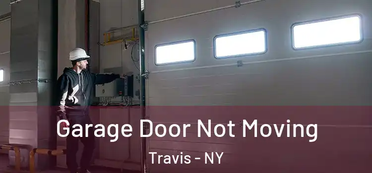  Garage Door Not Moving Travis - NY