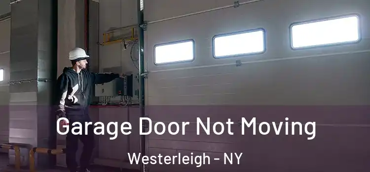  Garage Door Not Moving Westerleigh - NY